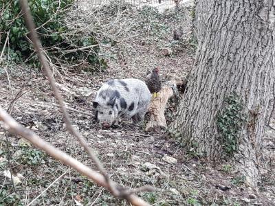 Прикрепленное изображение: 7.jpg